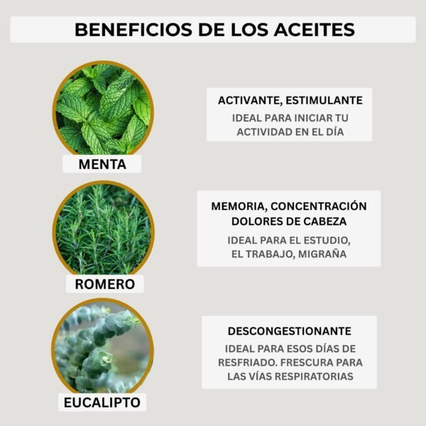 Roll on Activación Herbal - Imagen 5
